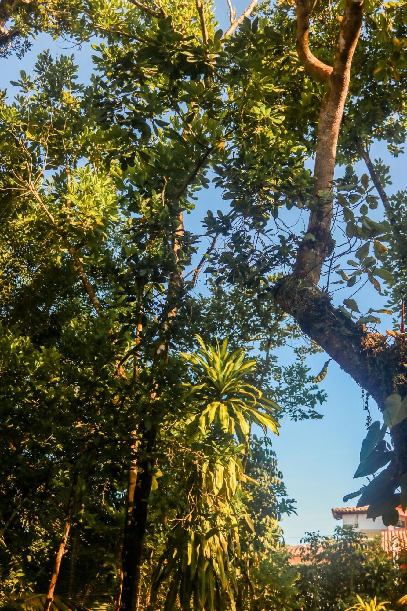 Pousada Guaiamum Itacaré المظهر الخارجي الصورة